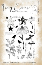Tracy Evans Boutique Designs A Promise of Tomorrow A5 Clear Stamp Set te63