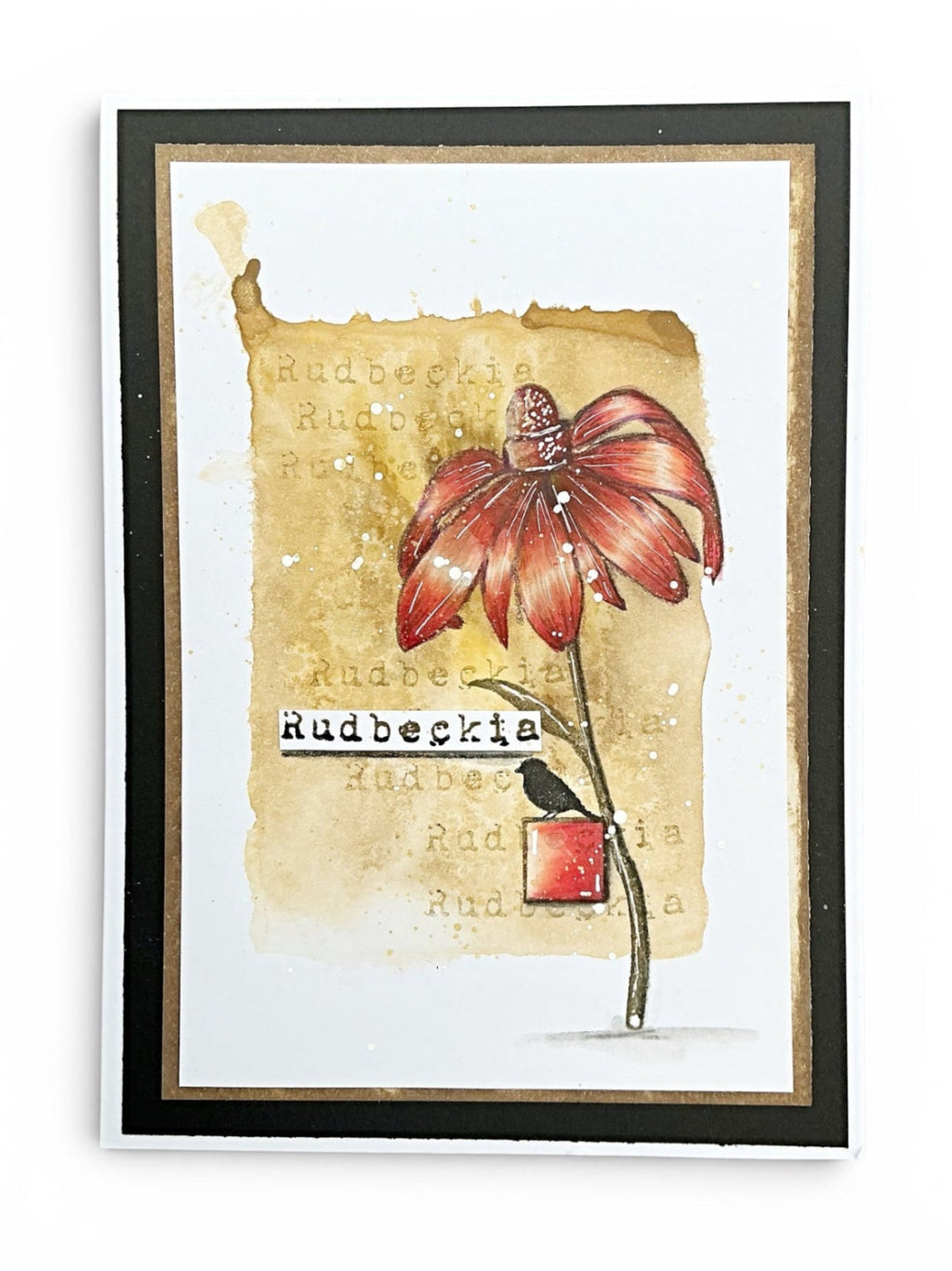 Tracy Evans Boutique Designs A Promise of Tomorrow A5 Clear Stamp Set te63 red flower bird rudbeckia card