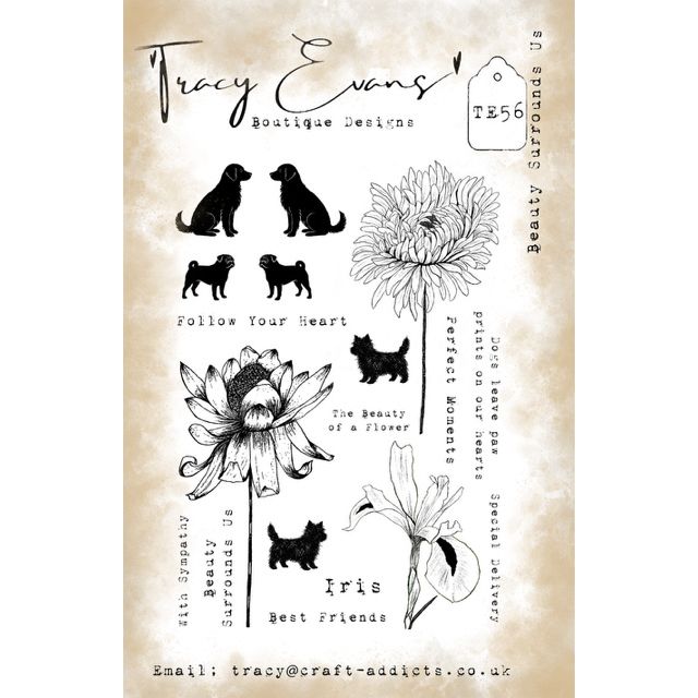 Tracy Evans Boutique Designs Beauty Surrounds Us Clear Stamps te56