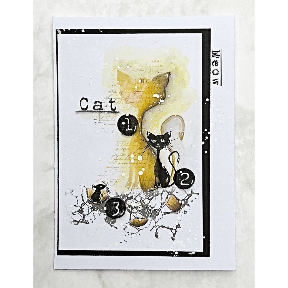 Tracy Evans Boutique Designs Bubbles A7 Clear Stamps te34 cat