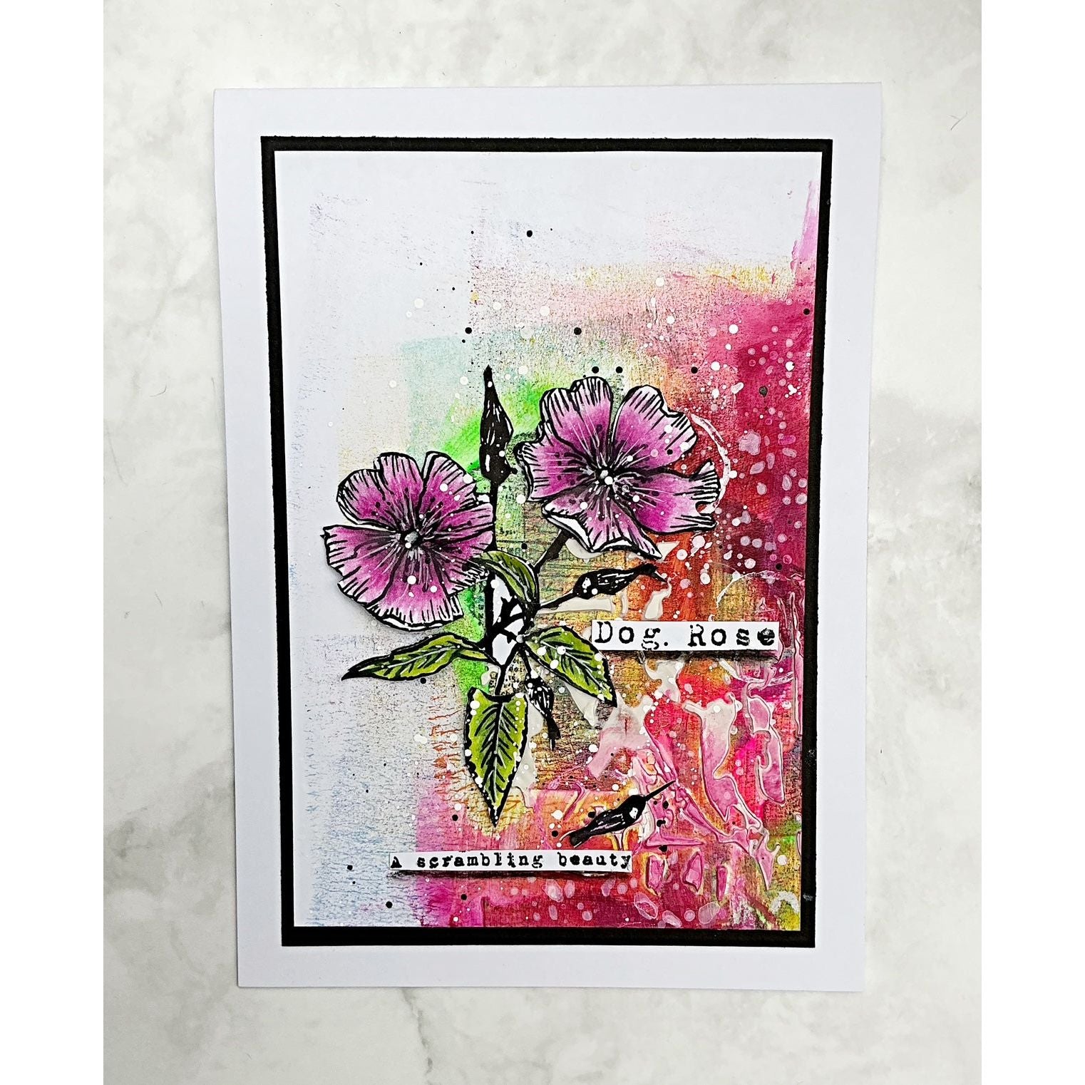 Tracy Evans Boutique Designs Dog Rose and Butterfly A5 Clear Stamps te45 dog