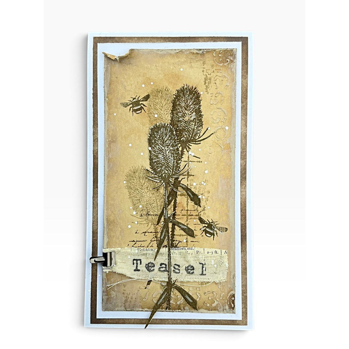 Tracy Evans Boutique Designs Embrace Nature Clear Stamps te71 bees plant with leaves teasel card