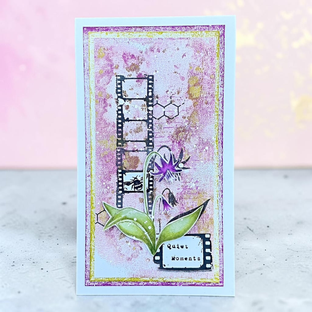 Tracy Evans Boutique Designs Embrace Nature Clear Stamps te71 purple flowers film strip quiet moments card