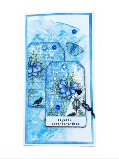 Tracy Evans Boutique Designs Explore Nature A5 Clear Stamp Set te67 blue butterfly blue flowers notes tag card