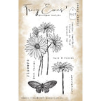 Tracy Evans Boutique Designs Flower Power A6 Clear Stamps te37