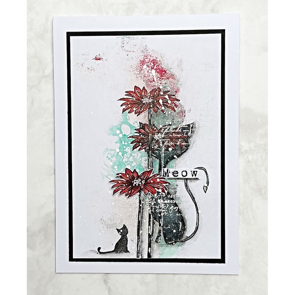 Tracy Evans Boutique Designs Flower Power A6 Clear Stamps te37 meow