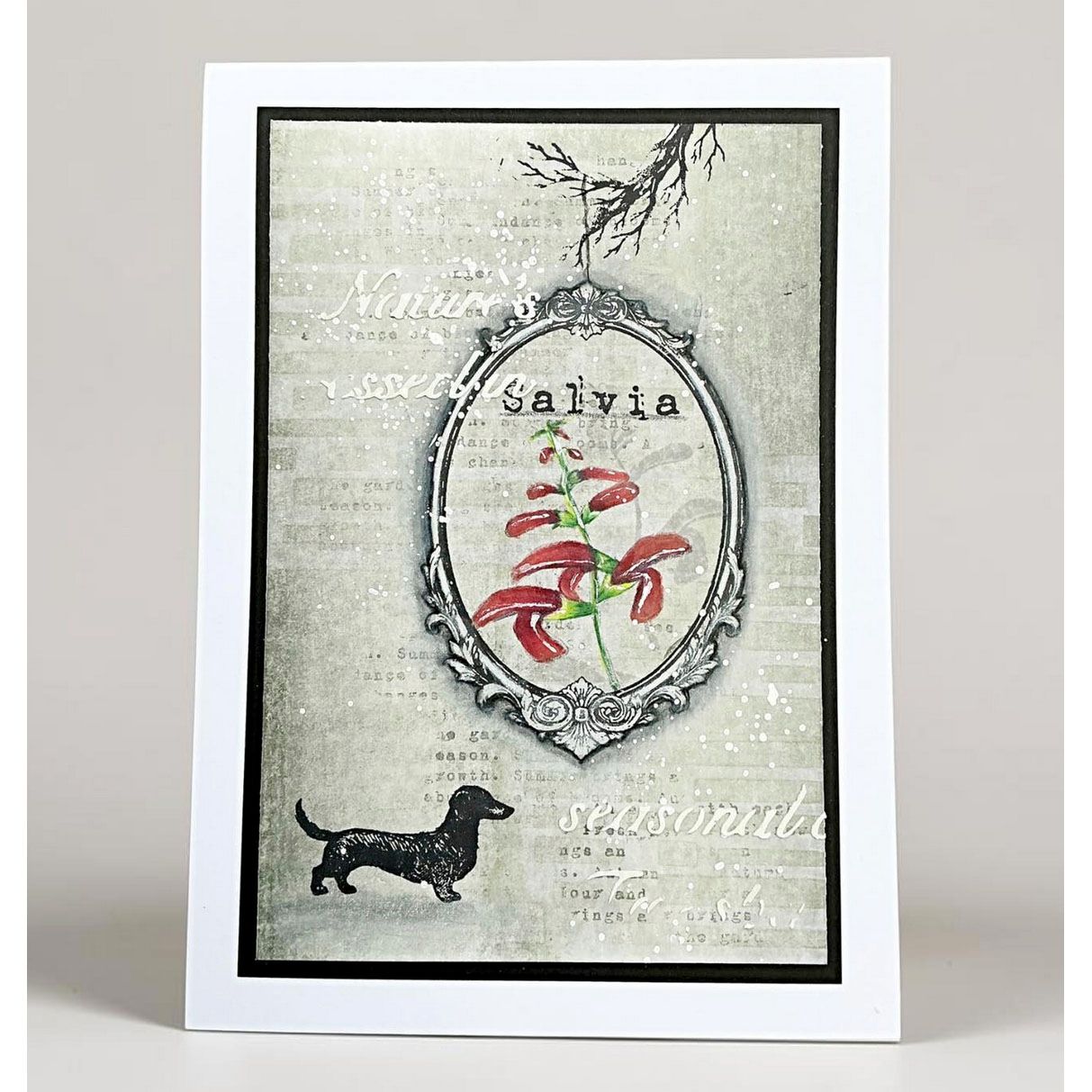 Tracy Evans Boutique Designs Frame Cuts Dies di08 salvia