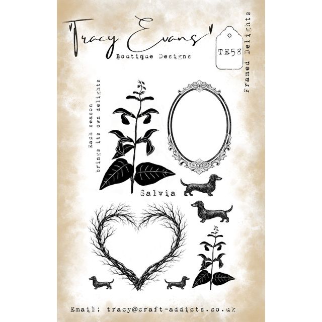Tracy Evans Boutique Designs Framed Delights Clear Stamps te58