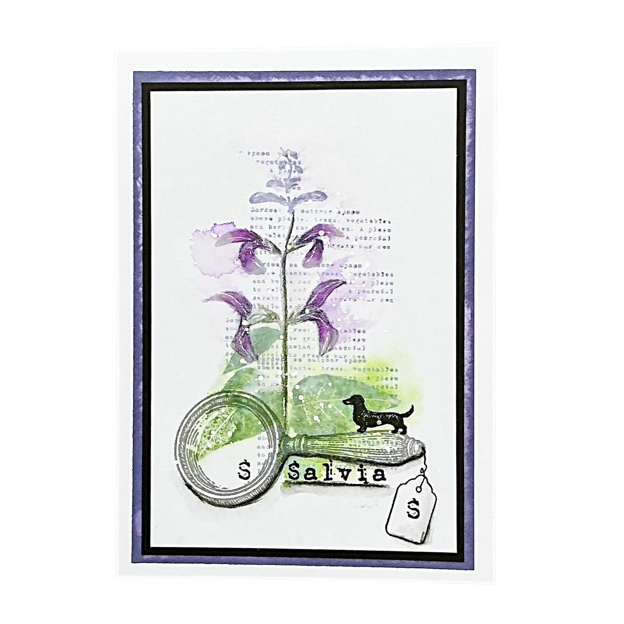 Tracy Evans Boutique Designs Framed Delights Clear Stamps te58 salvia