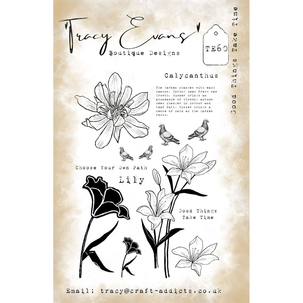 Tracy Evans Boutique Designs Good Things Take Time A5 Clear Stamp Set te60
