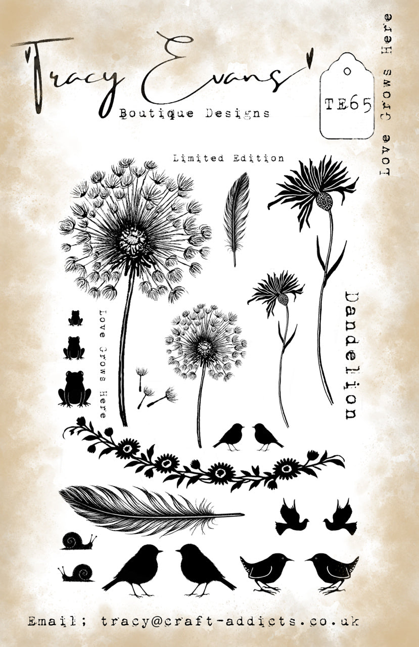 Tracy Evans Boutique Designs Love Grows Here A5 Clear Stamp Set te65