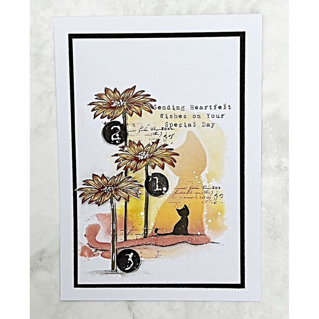 Tracy Evans Boutique Designs Numerical Cats A5 Clear Stamps te36 sending heartfelt wishes