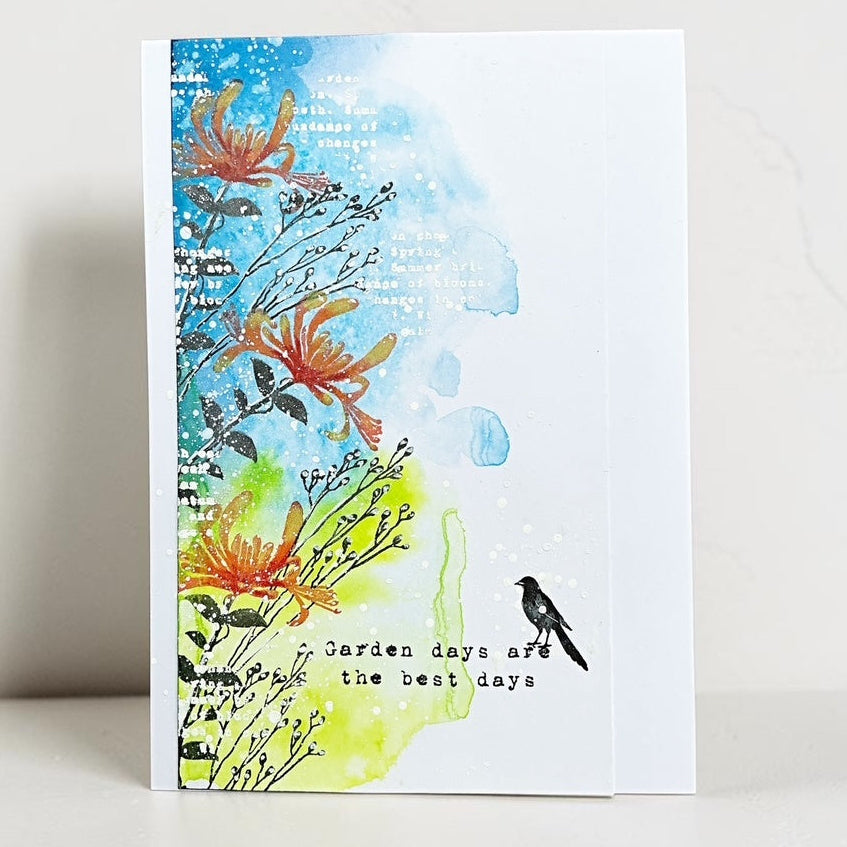 Tracy Evans Boutique Designs On The Wild Side A6 Clear Stamps te50 the best days