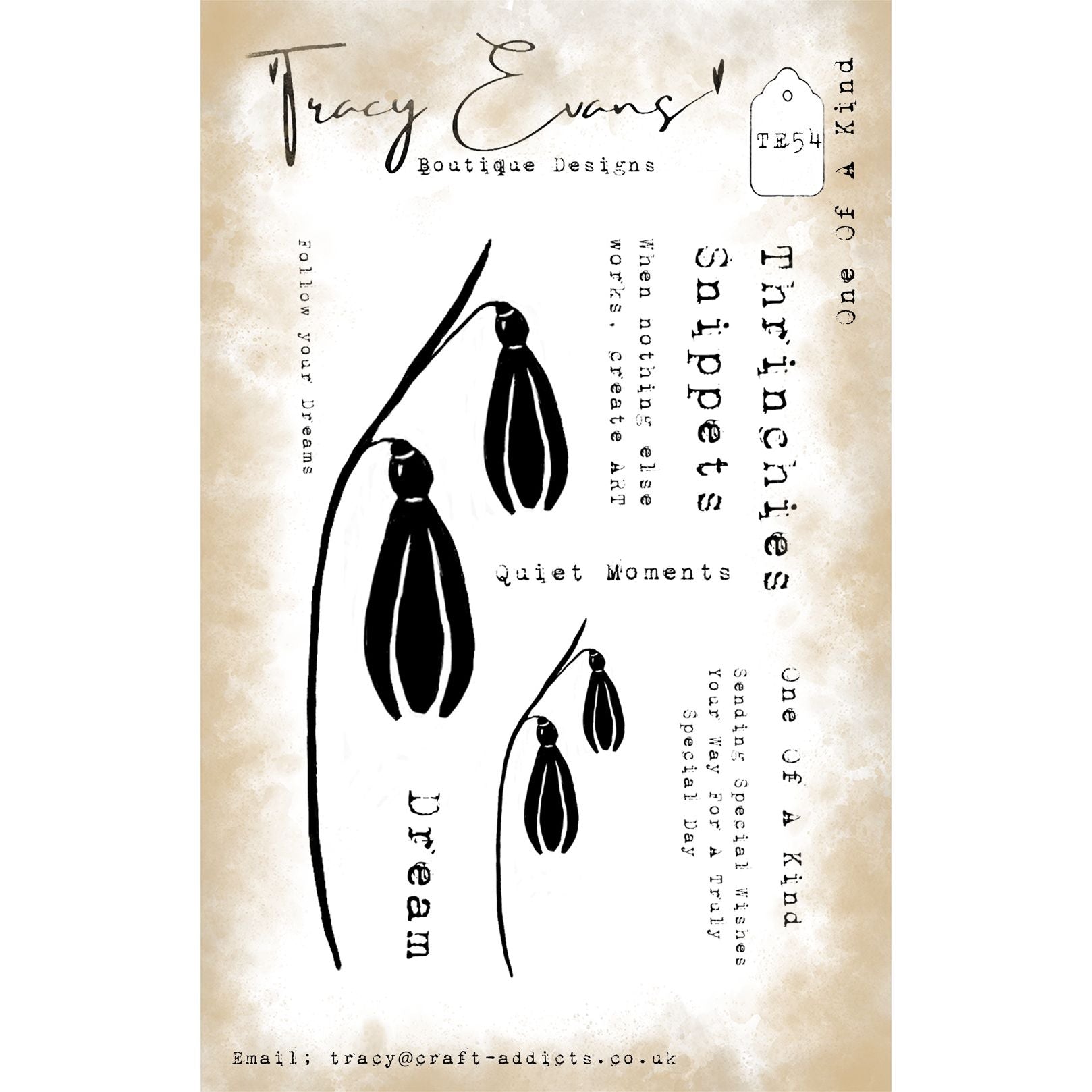 Tracy Evans Boutique Designs One Of A Kind A7 Clear Stamps te54
