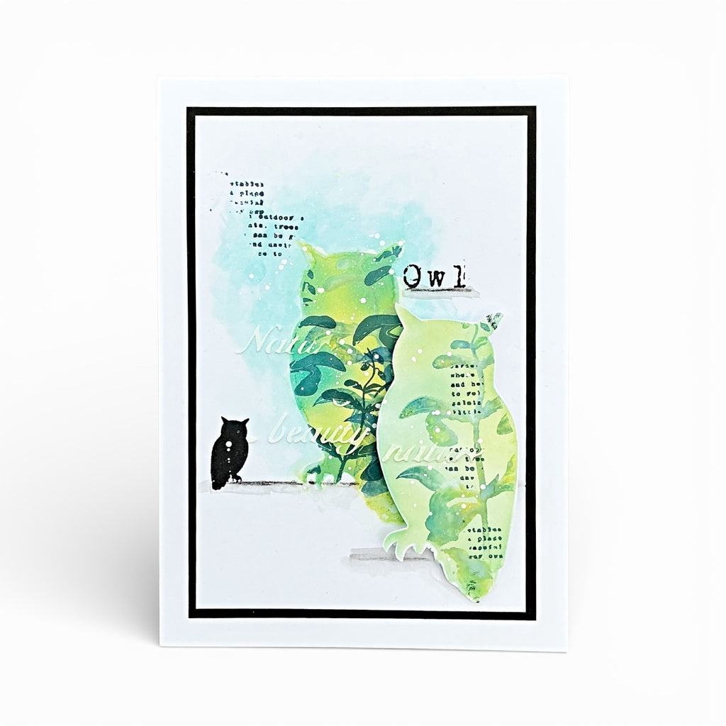 Tracy Evans Boutique Designs Owl Cuts Dies di06 nature