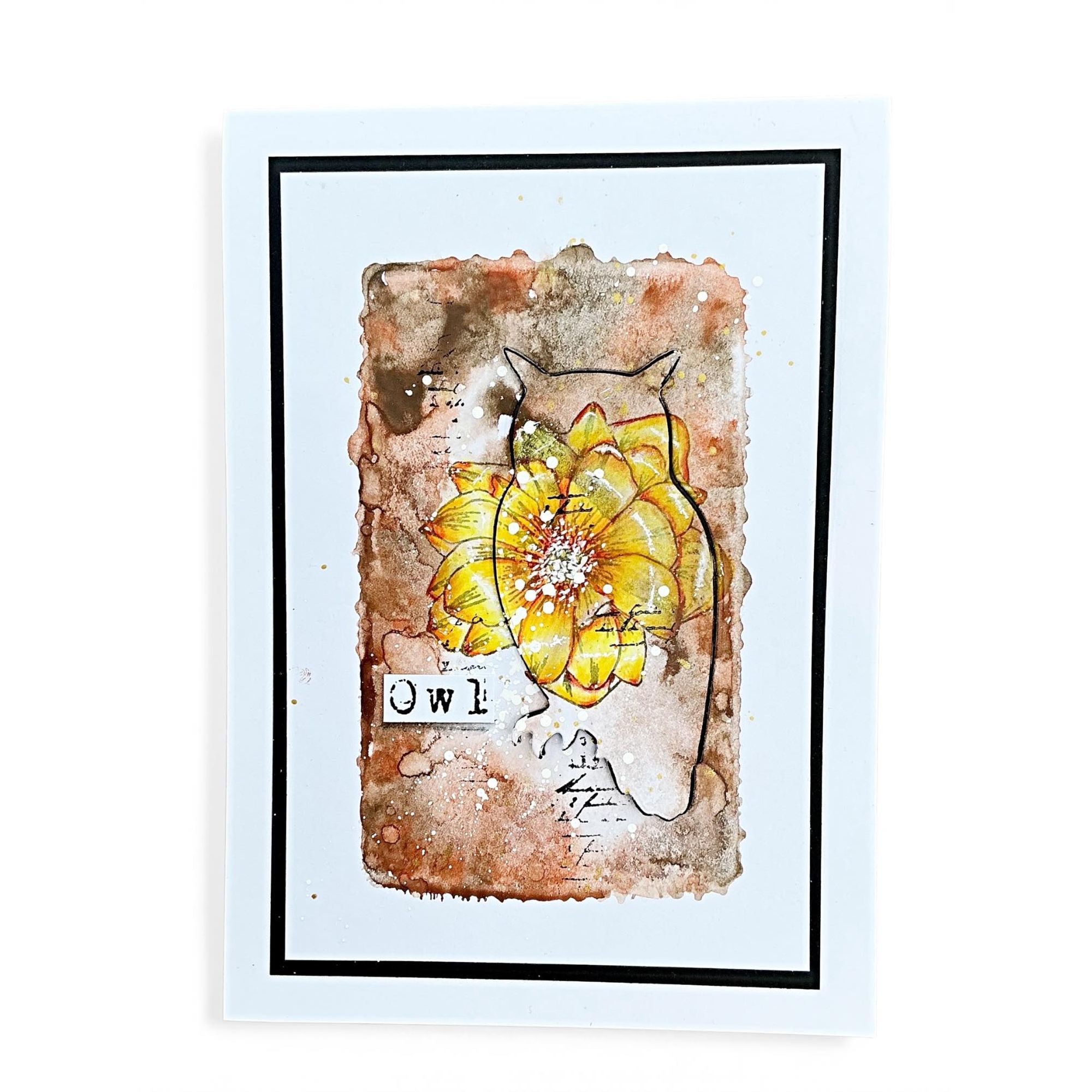 Tracy Evans Boutique Designs Owl Cuts Dies di06 owl