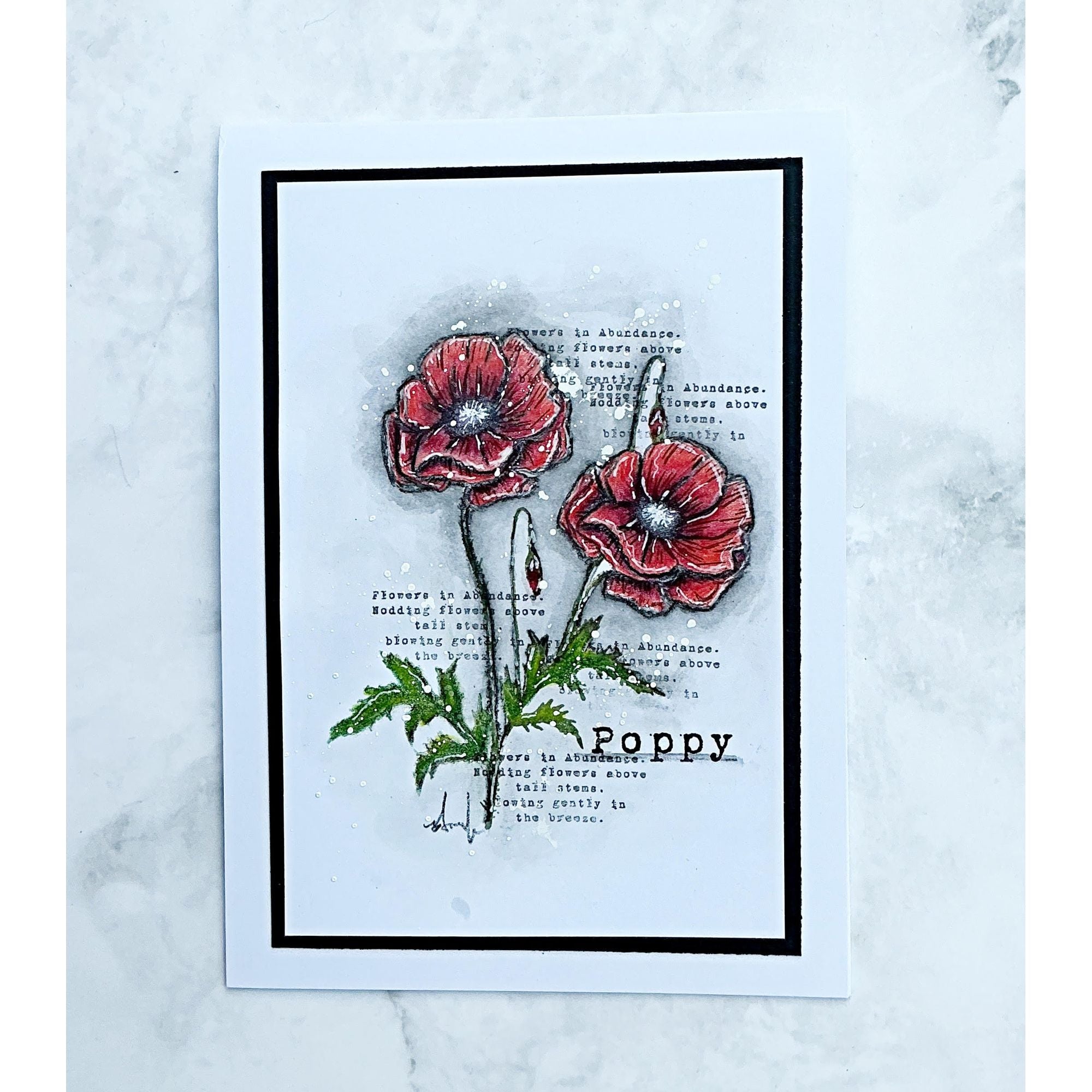 Tracy Evans Boutique Designs Poppy A6 Clear Stamps te39 abundance