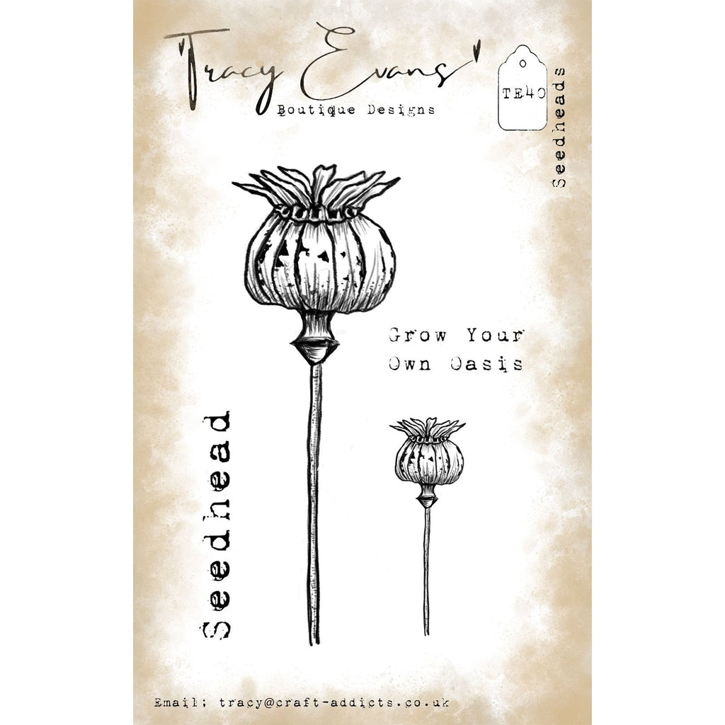Tracy Evans Boutique Designs Seedheads A7 Clear Stamps te40