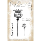 Tracy Evans Boutique Designs Seedheads A7 Clear Stamps te40
