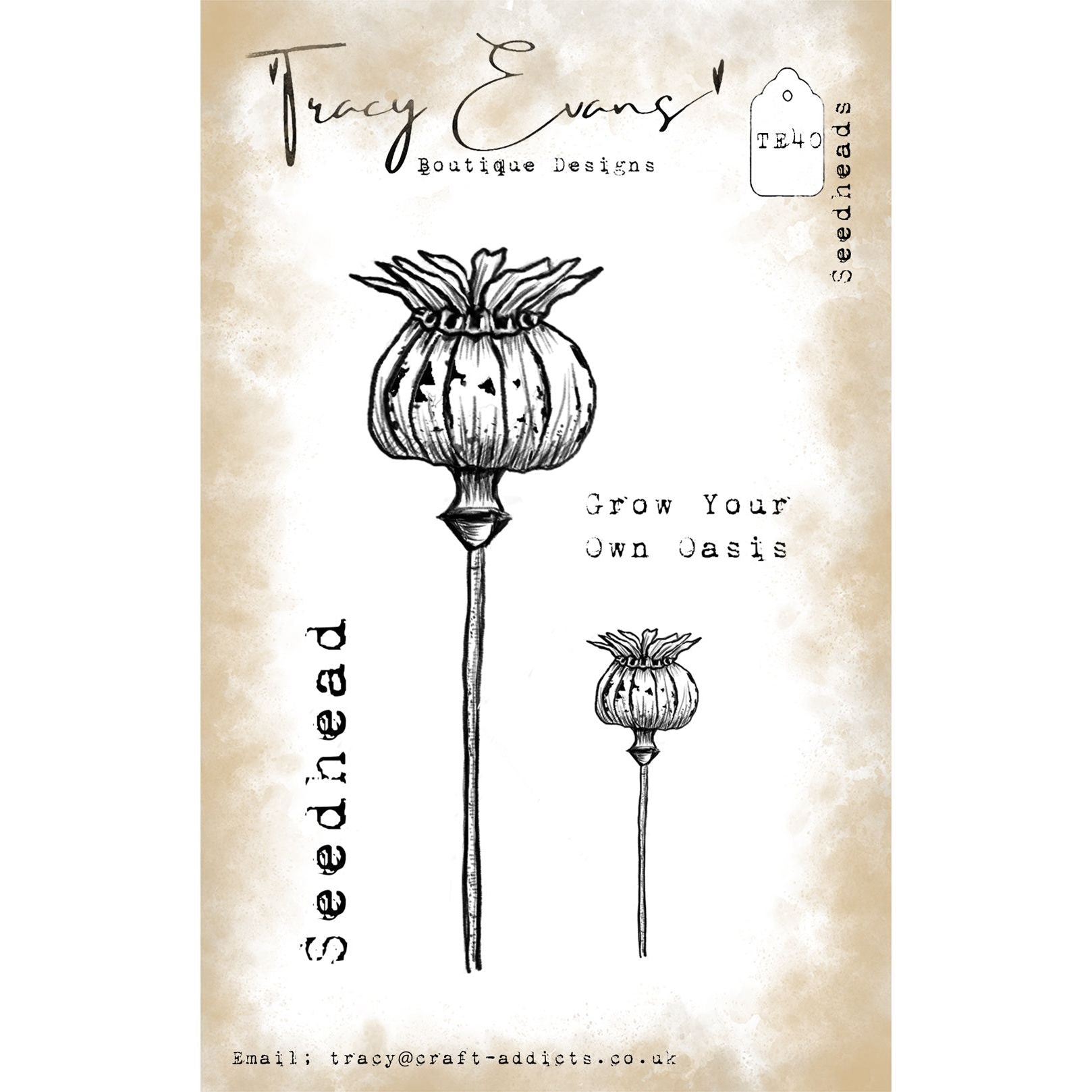 Tracy Evans Boutique Designs Seedheads A7 Clear Stamps te40