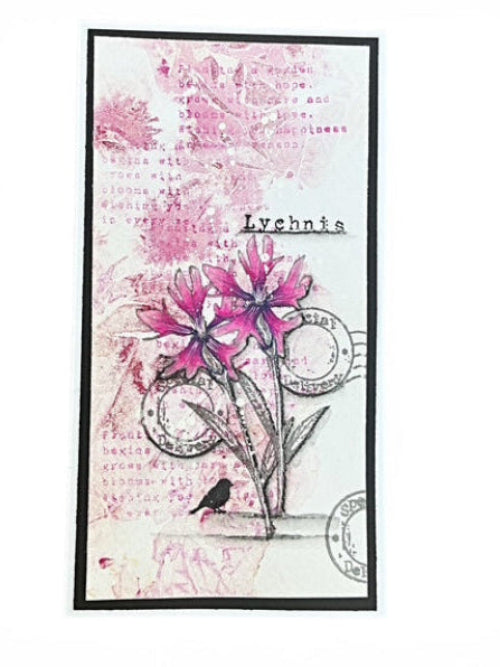 Tracy Evans Boutique Designs Special Delivery A5 Clear Stamp Set te64 pink flowers postage bird lychnis card