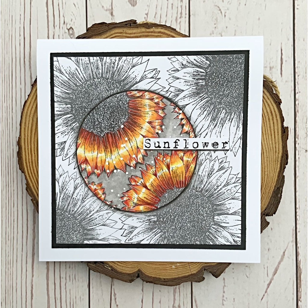 Tracy Evans Boutique Designs Sunflower A6 Clear Stamps te33 blooms