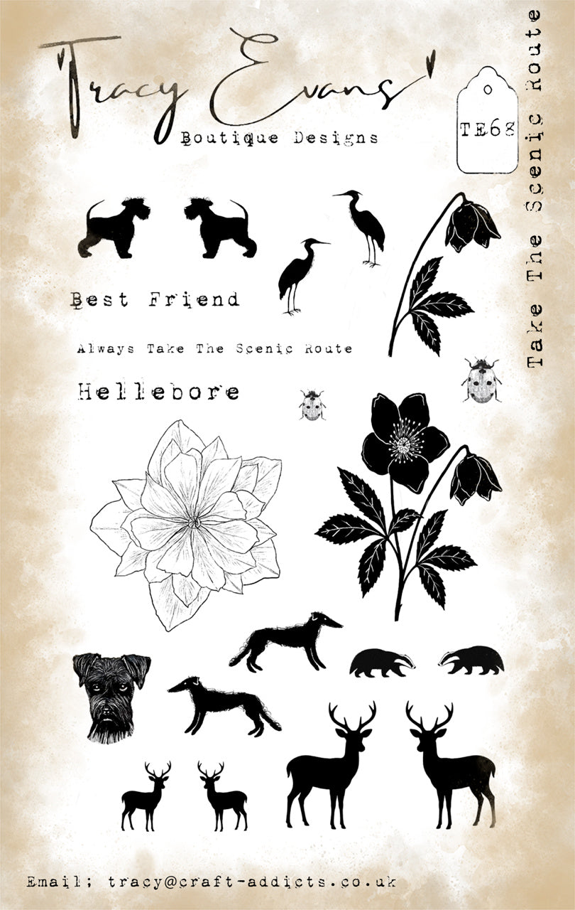 Tracy Evans Boutique Designs Take the Scenic Route A6 Clear Stamps te68