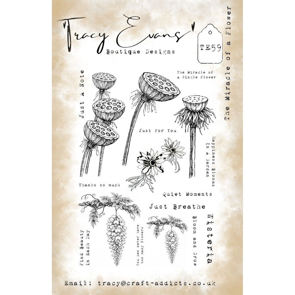 Tracy Evans Boutique Designs The Miracle Of A Flower A5 Clear Stamp Set te59
