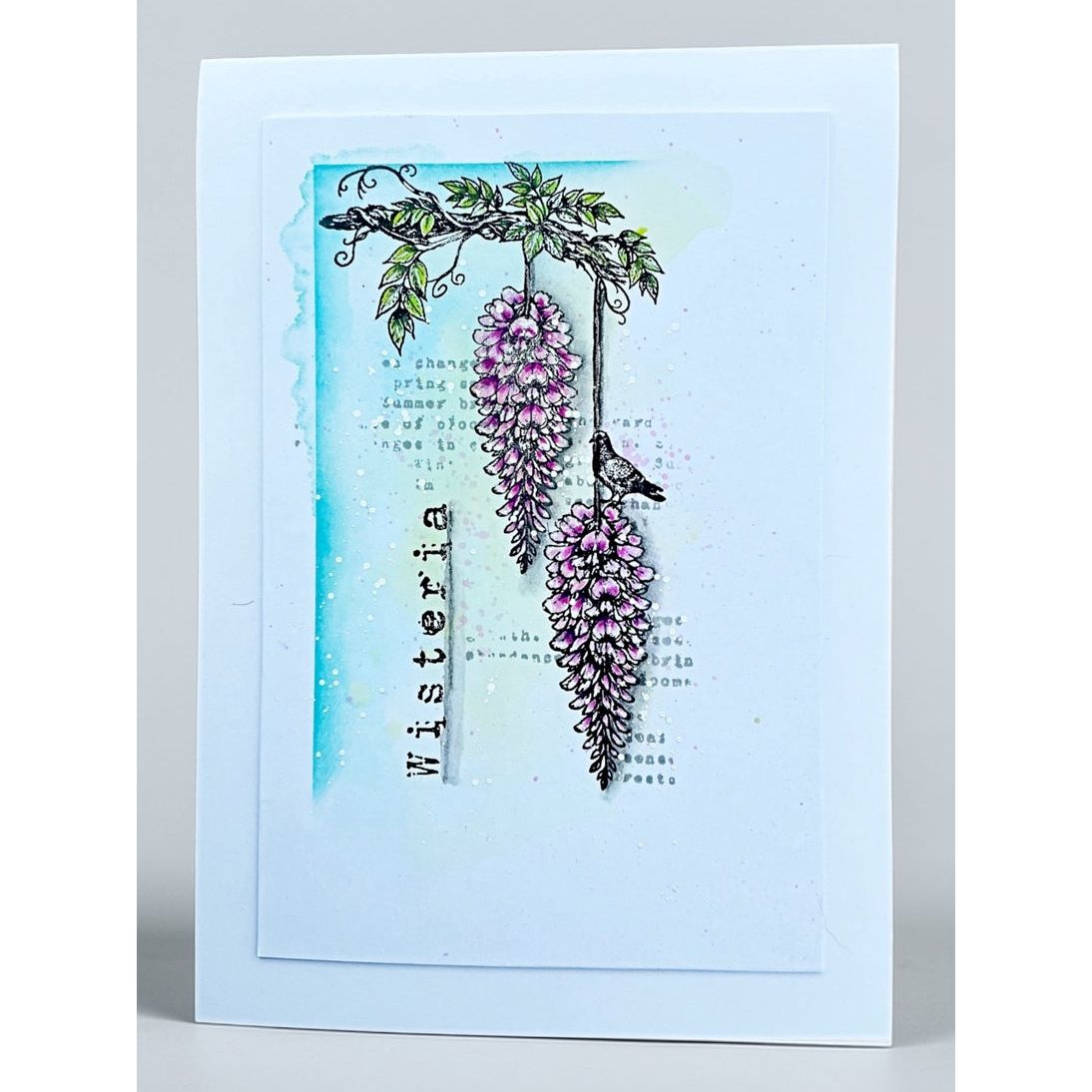 Tracy Evans Boutique Designs The Miracle Of A Flower A5 Clear Stamp Set te59 flowers