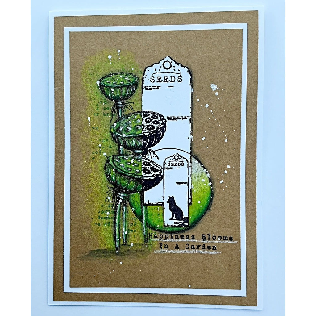 Tracy Evans Boutique Designs The Miracle Of A Flower A5 Clear Stamp Set te59 seeds