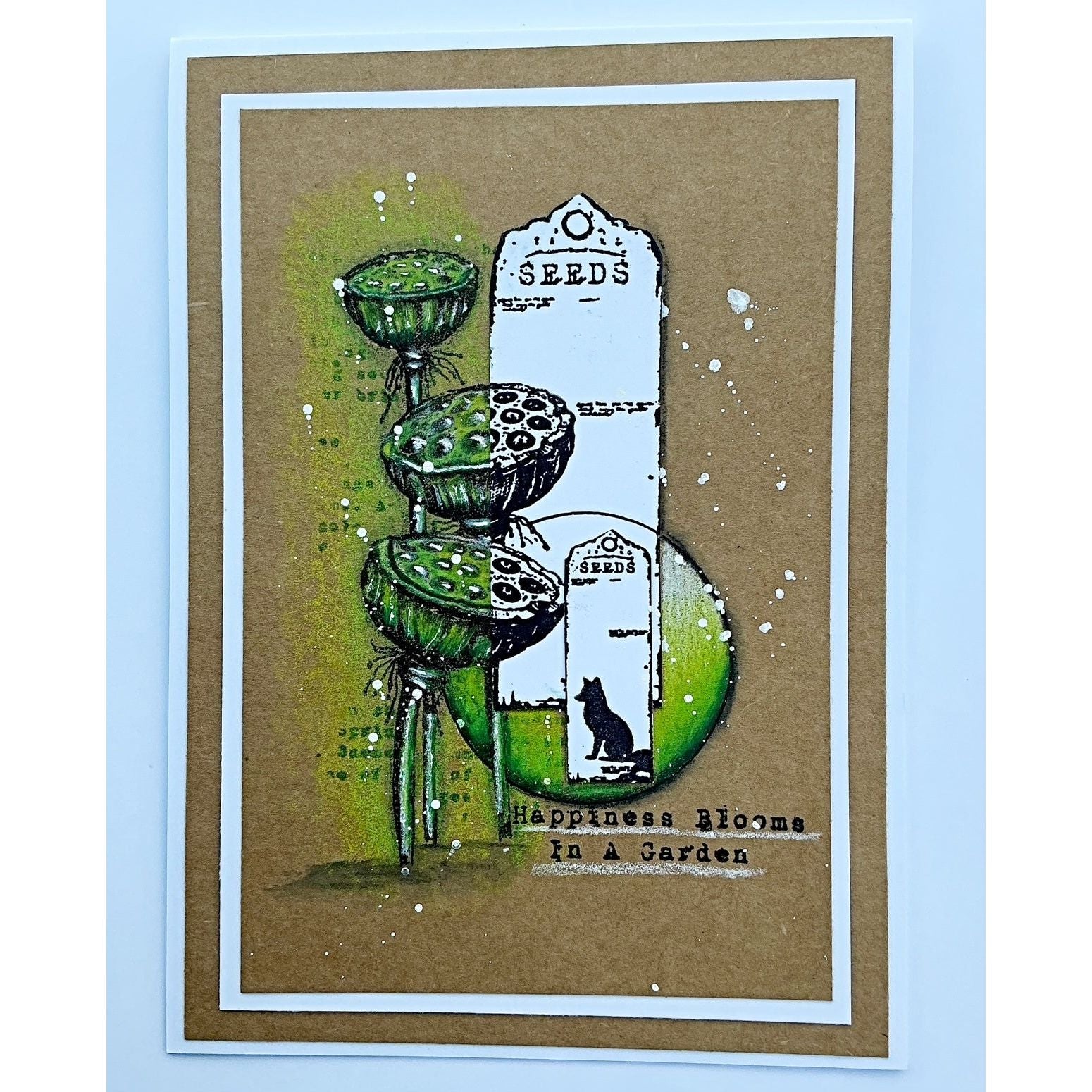 Tracy Evans Boutique Designs The Miracle Of A Flower A5 Clear Stamp Set te59 seeds