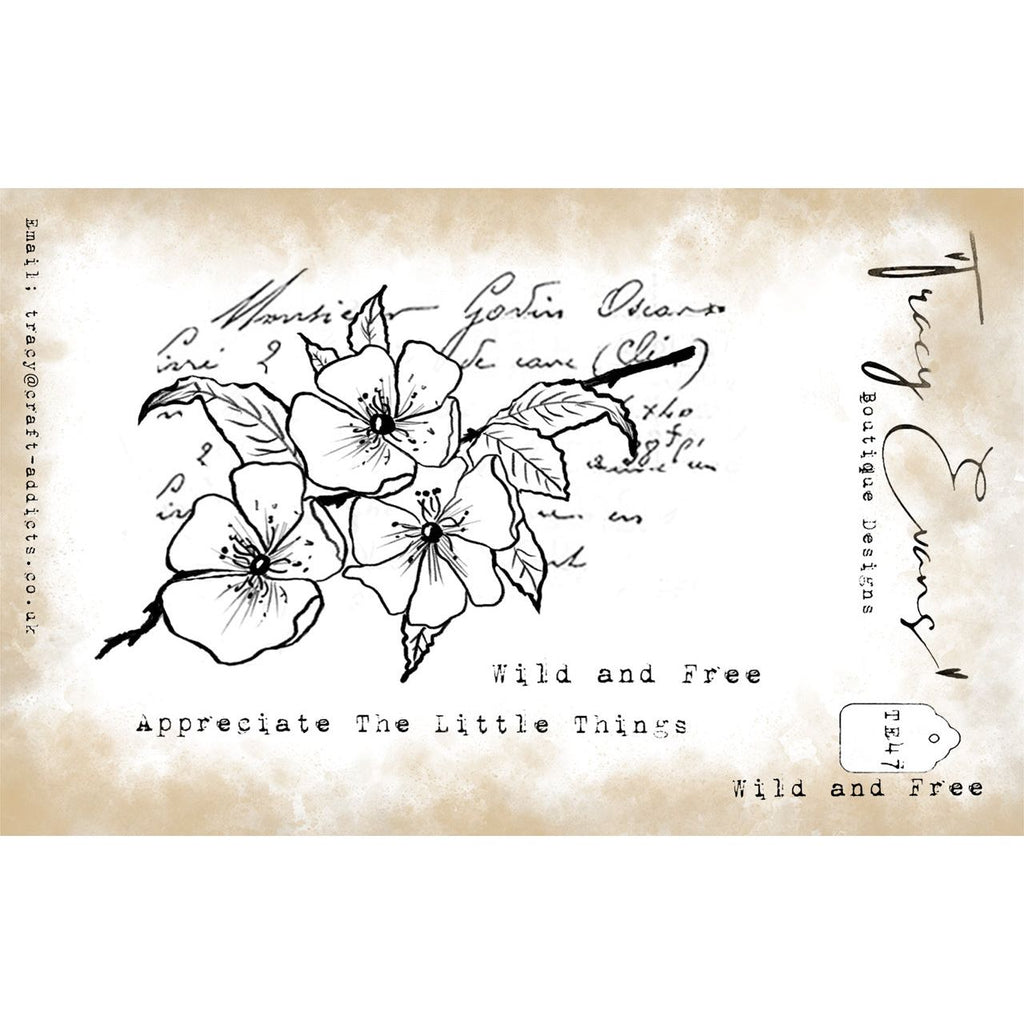Tracy Evans Boutique Designs Wild and Free A7 Clear Stamps te47