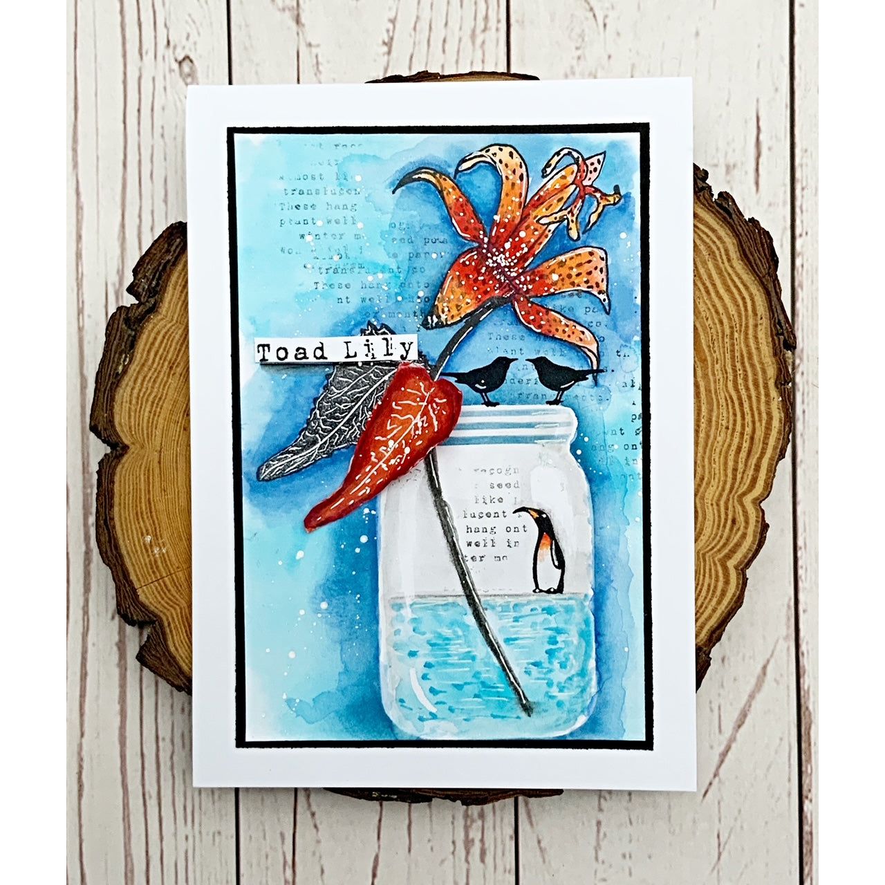 Tracy Evans Boutique Designs Winter Delights A7 Clear Stamps te23 penguin