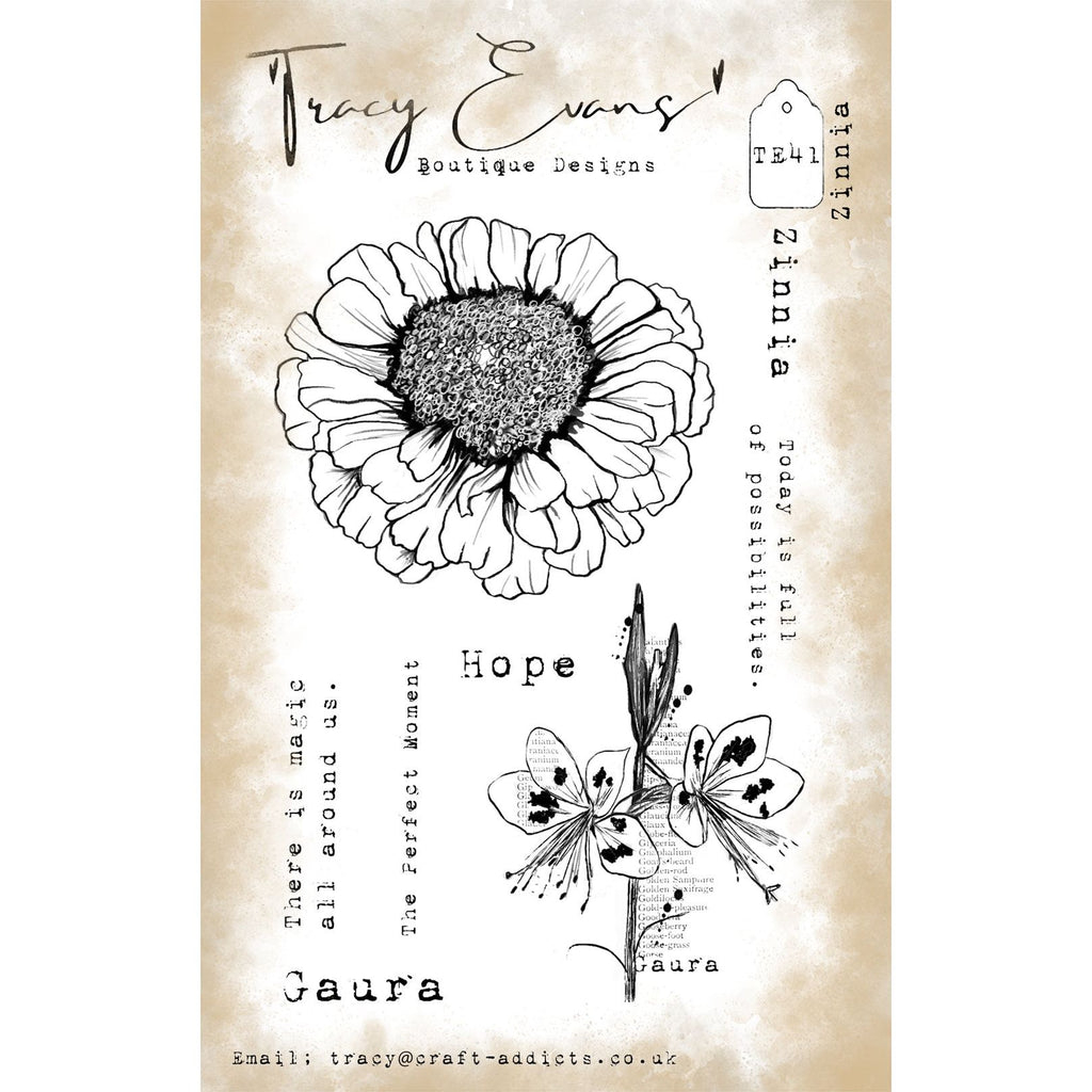 Tracy Evans Boutique Designs Zinnia A6 Clear Stamps te41