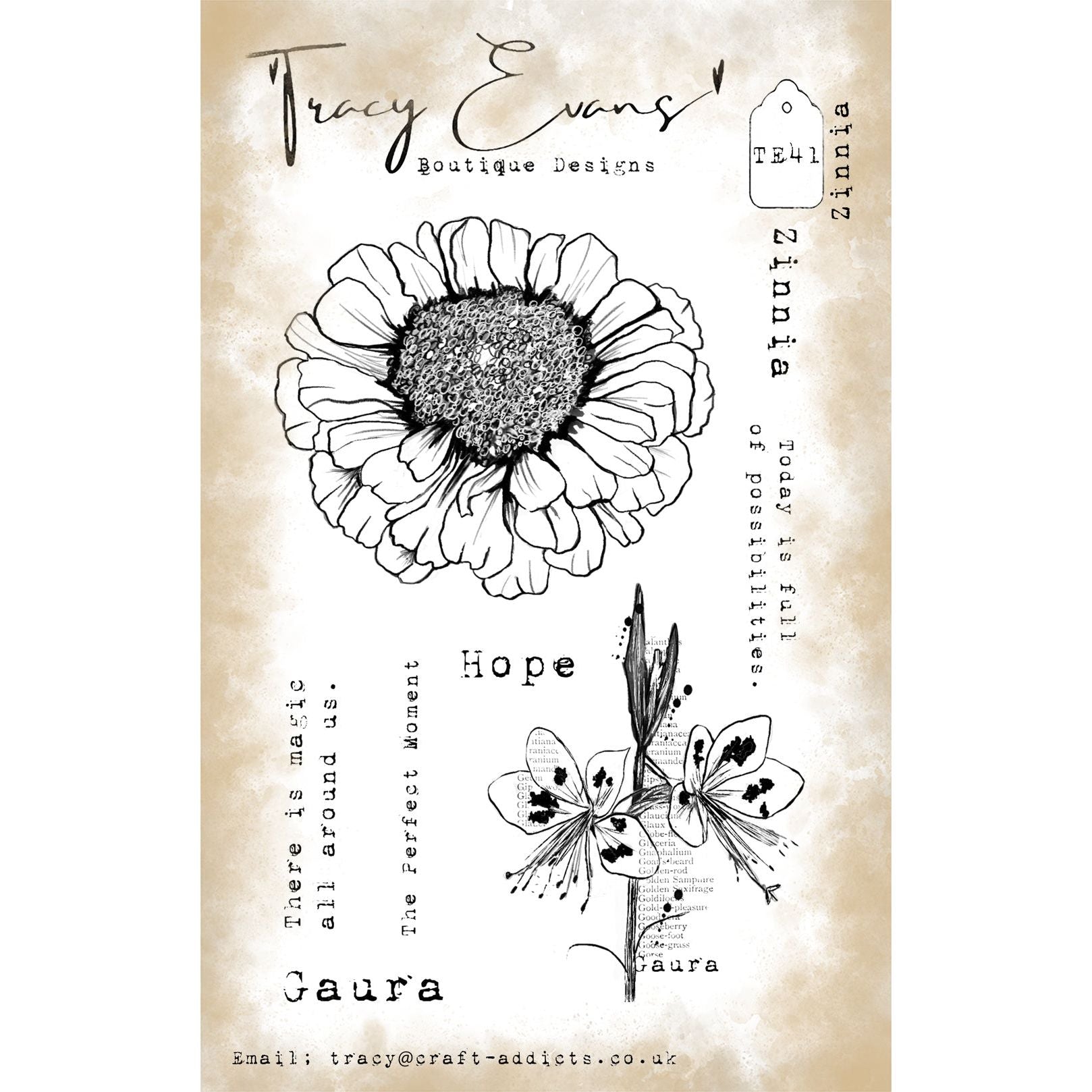 Tracy Evans Boutique Designs Zinnia A6 Clear Stamps te41