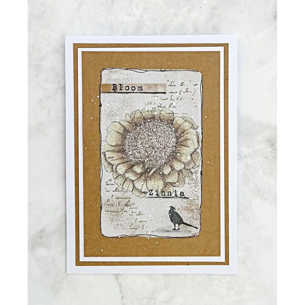 Tracy Evans Boutique Designs Zinnia A6 Clear Stamps te41 bloom