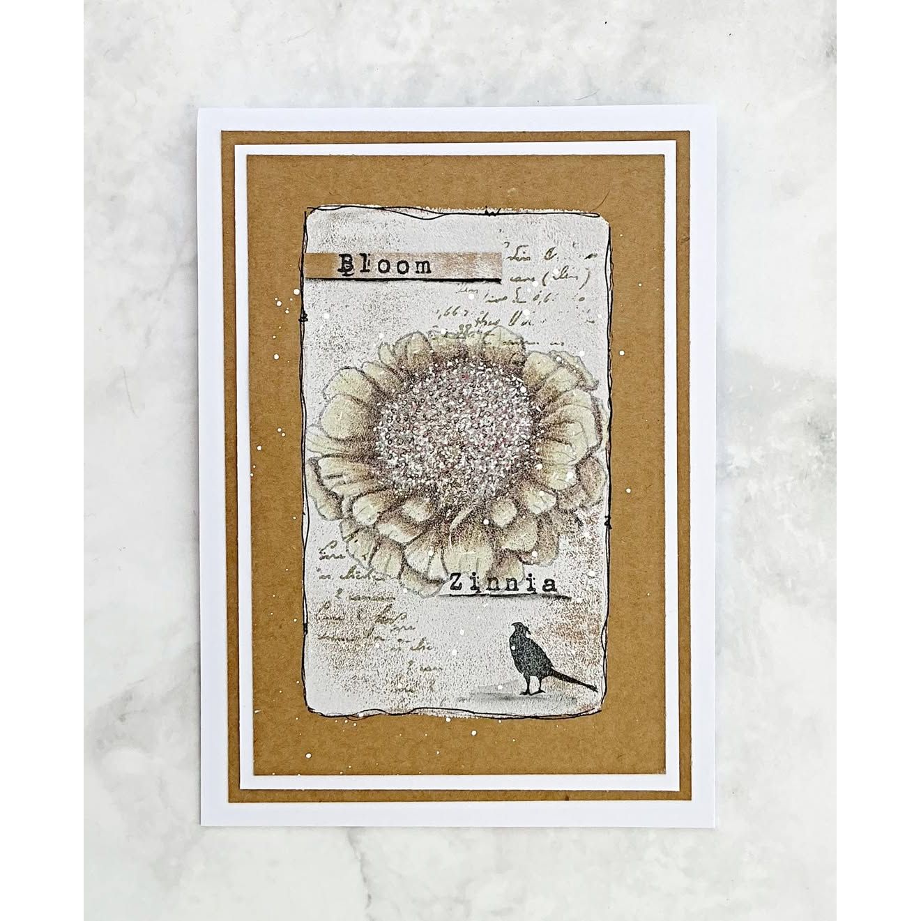 Tracy Evans Boutique Designs Zinnia A6 Clear Stamps te41 bloom