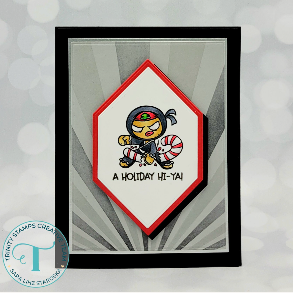 Trinity Stamps Emergency Card Essentials 2 Die Set tmd-324 ninja