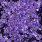 Trinity Stamps Grape Sparkle Spots Flat Confetti Embellishment Mix emb-0244 product