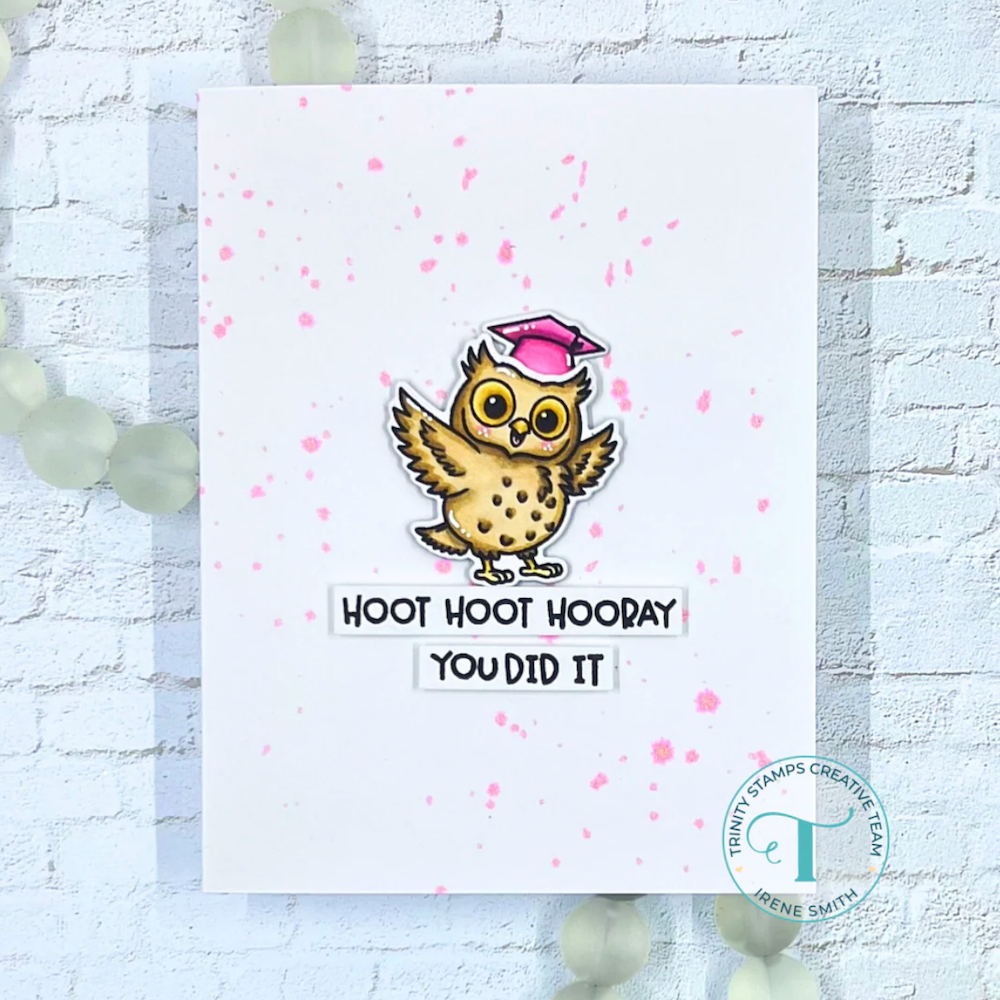 Trinity Stamps Hoot Hoot Hooray Die Set tmd-c39 did
