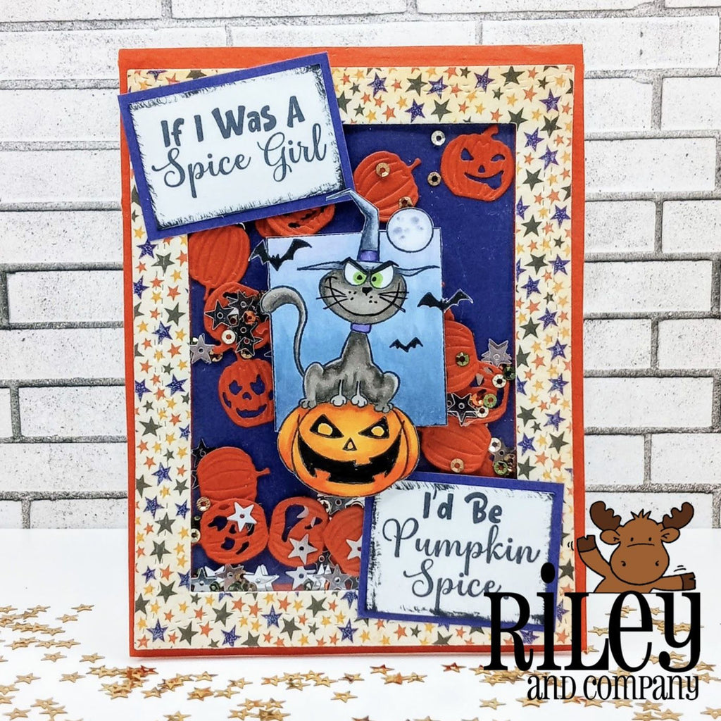 Riley And Company Funny Bones Spice Girl Cling Rubber Stamp rwd-1193 shaker card