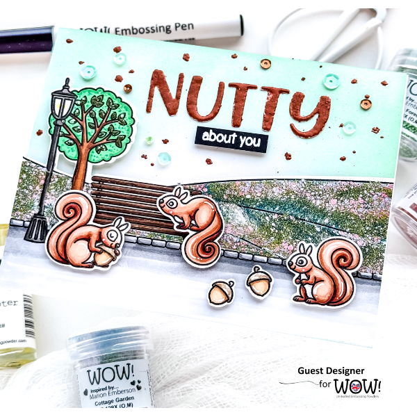 WOW Duo Nature's Trio Embossing Powders wowkd098 squirrels