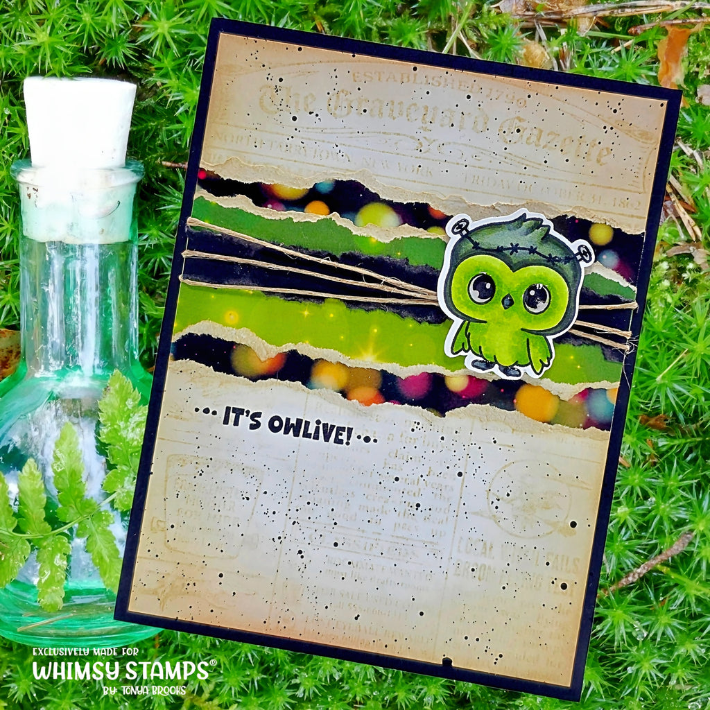 Whimsy Stamps Owl-O-Ween STAMPtember Exclusive Stamps and Dies