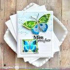 Waffle Flower Butterfly Focal Stencil 421941 postage