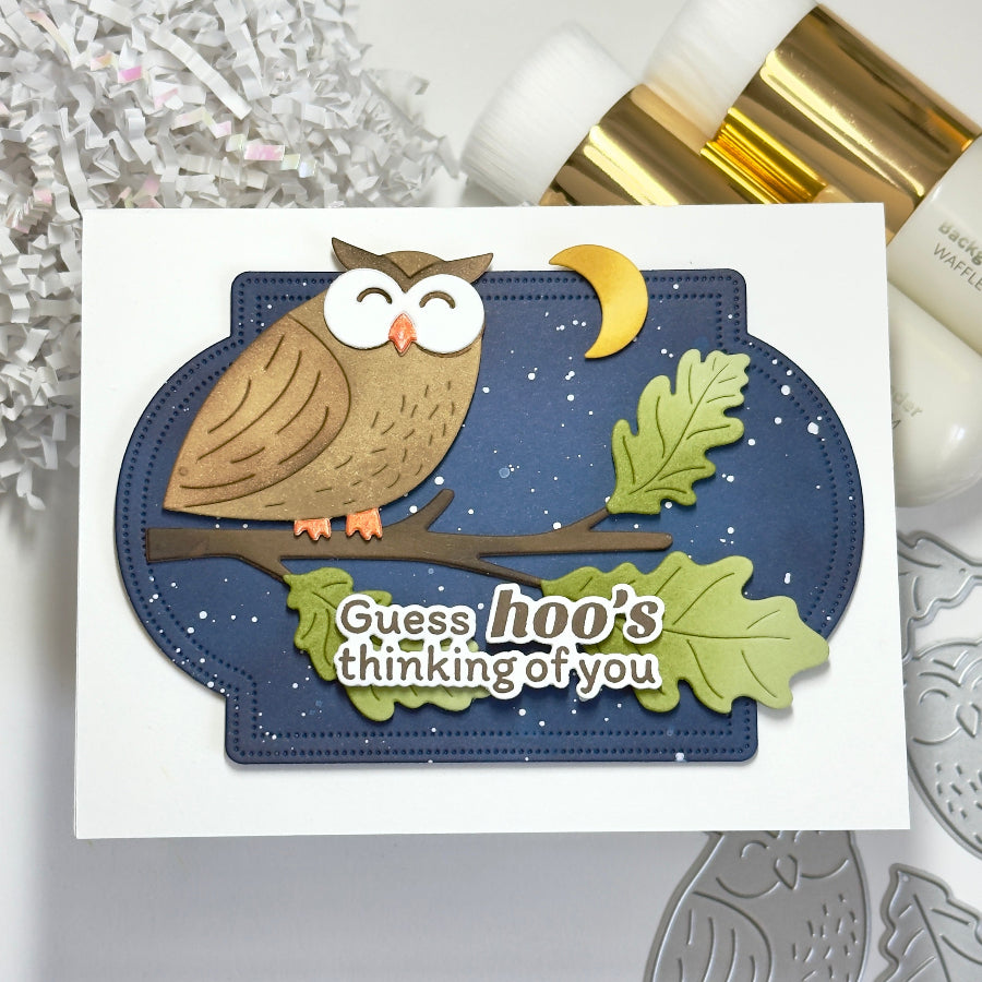 Waffle Flower Owl Duo Die-n-stencil Set 422243 night sky card