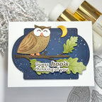 Waffle Flower Owl Duo Die-n-stencil Set 422243 night sky card