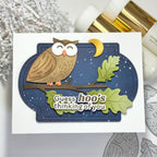 Waffle Flower Real Hoot Sentiments Clear Stamps 422241 night sky card
