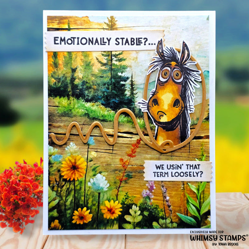 Whimsy Stamps Emotionally Stable Clear Stamps cwsd345a lasso