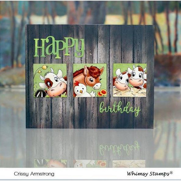 Whimsy Stamps Farmhouse Shiplap Background Cling Stamp ddb0004 birthday