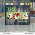 Whimsy Stamps Farmhouse Shiplap Background Cling Stamp ddb0004 birthday